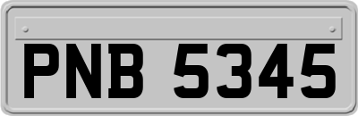 PNB5345