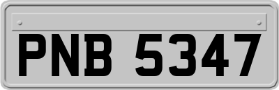 PNB5347
