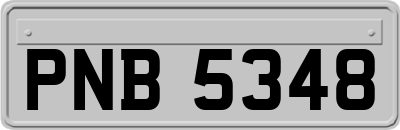 PNB5348