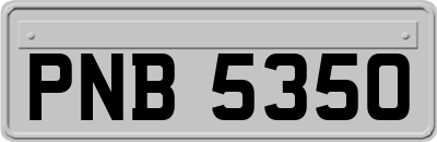 PNB5350