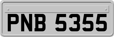 PNB5355