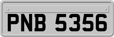PNB5356
