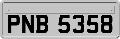 PNB5358