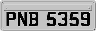 PNB5359