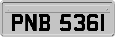 PNB5361