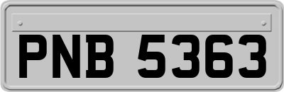 PNB5363