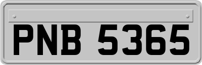 PNB5365