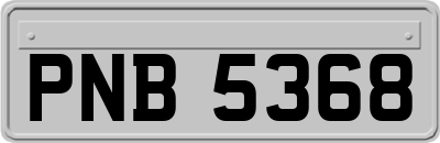 PNB5368