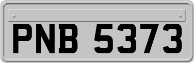 PNB5373