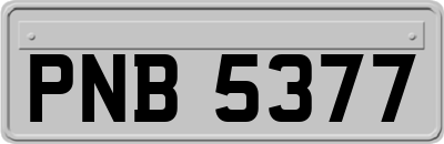 PNB5377