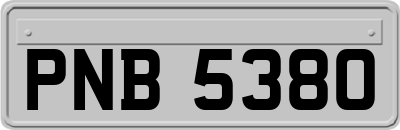 PNB5380