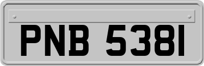 PNB5381