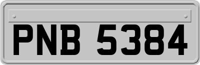 PNB5384