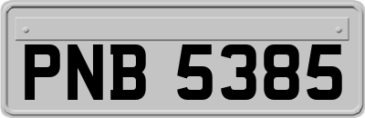 PNB5385
