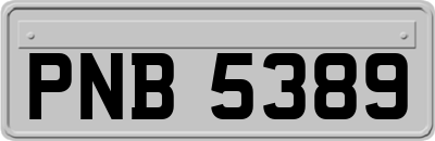PNB5389