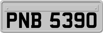 PNB5390