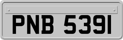 PNB5391
