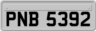 PNB5392