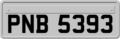 PNB5393