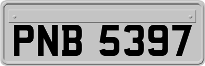 PNB5397