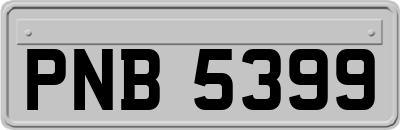 PNB5399