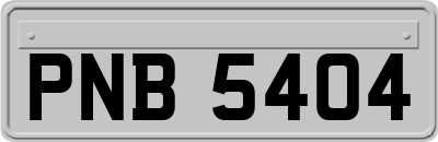 PNB5404