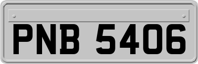 PNB5406