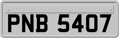 PNB5407