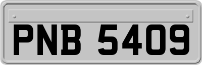 PNB5409