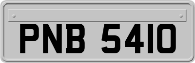PNB5410