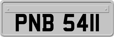 PNB5411
