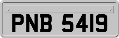PNB5419