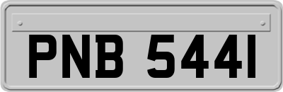 PNB5441