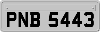 PNB5443