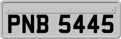 PNB5445