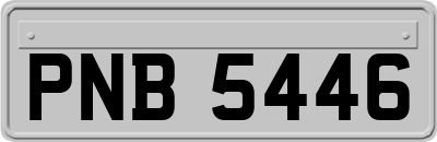 PNB5446