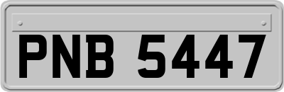 PNB5447