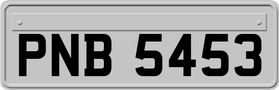 PNB5453
