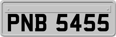 PNB5455