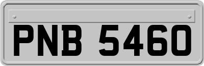 PNB5460