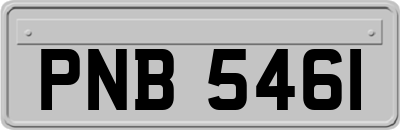 PNB5461