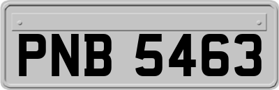 PNB5463