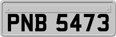PNB5473