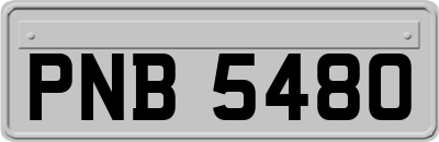 PNB5480