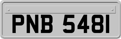 PNB5481