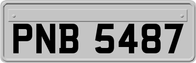 PNB5487