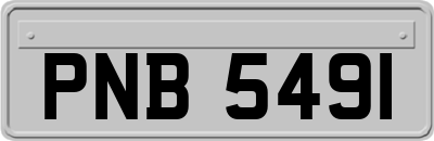 PNB5491