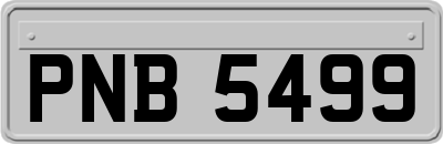 PNB5499