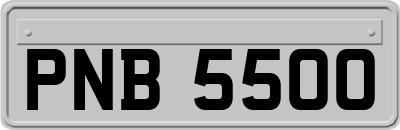 PNB5500