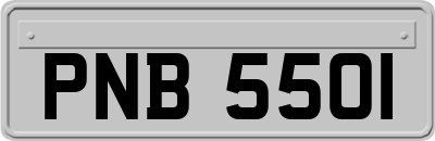 PNB5501